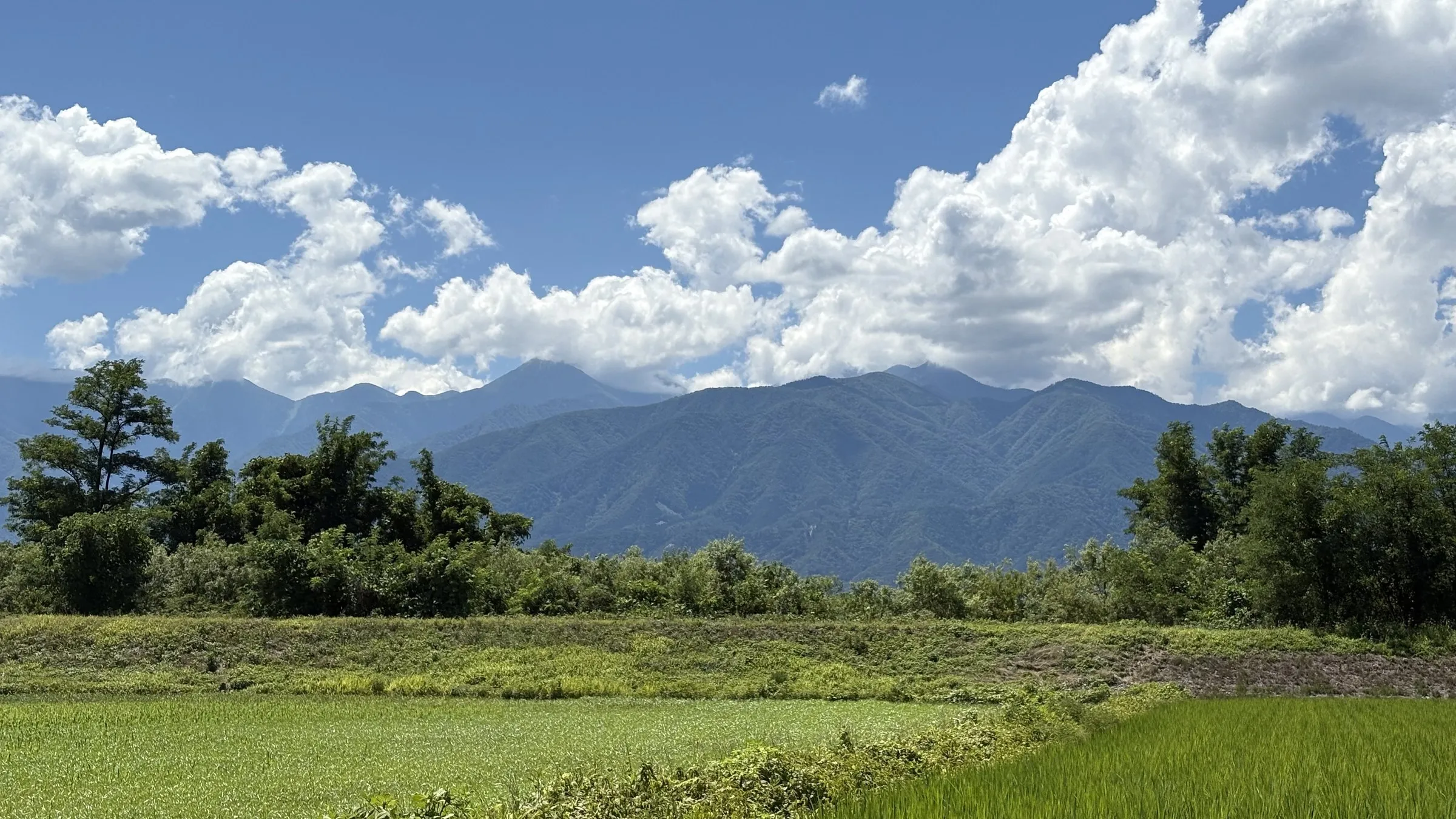 夏の山並みと田園の風景